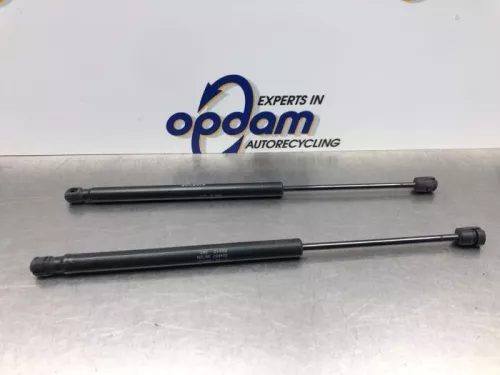 Set Gasdempers Achterklep-8143723