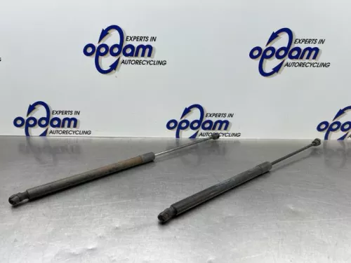 Set Gasdempers Achterklep-8177599