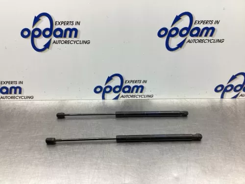 Set Gasdempers Achterklep-7821670
