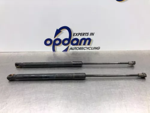 Set Gasdempers Achterklep-8082261