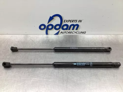 Set Gasdempers Achterklep-7748221