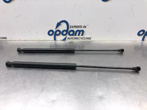 Set Gasdempers Achterklep-8105805