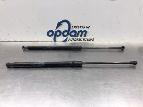 Set Gasdempers Achterklep-7864942