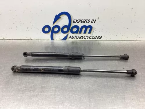 Set Gasdempers Achterklep-6109919