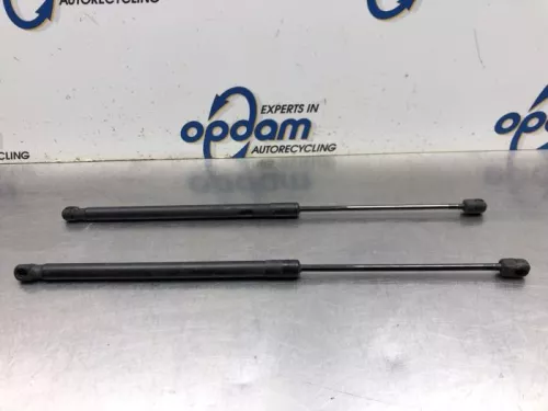Set Gasdempers Achterklep-8160252