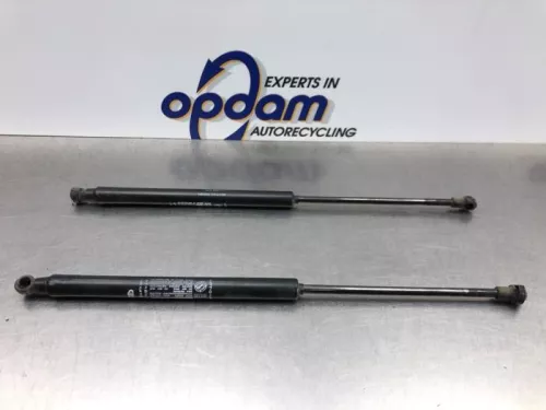 Set Gasdempers Achterklep-8119565