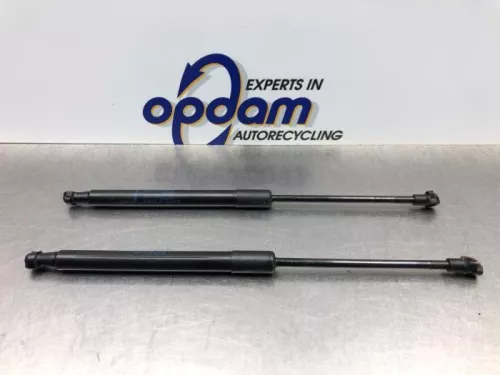 Set Gasdempers Achterklep-8185823