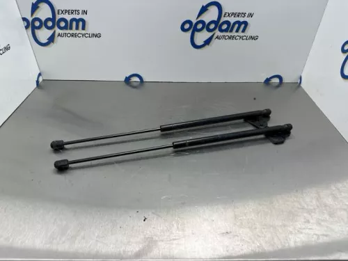 Set Gasdempers Achterklep-8240447