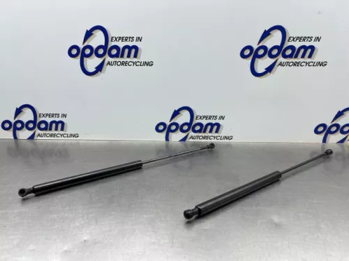 Set Gasdempers Achterklep-8311922