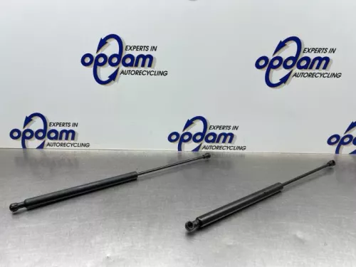 Set Gasdempers Achterklep-8214855