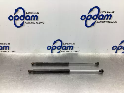 Set Gasdempers Achterklep-7741415