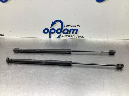 Set Gasdempers Achterklep-7936900