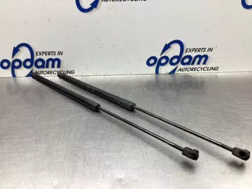 Set Gasdempers Achterklep-8073343