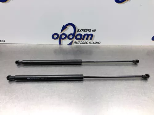Set Gasdempers Achterklep-8112441