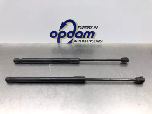 Set Gasdempers Achterklep-8184242