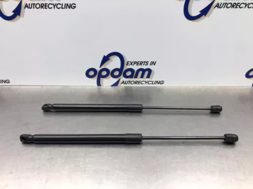 Set Gasdempers Achterklep-8194089