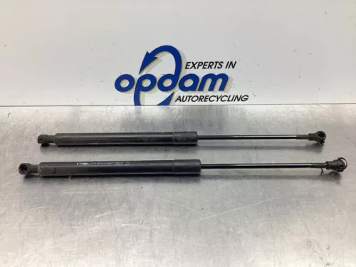 Set Gasdempers Achterklep-6498657