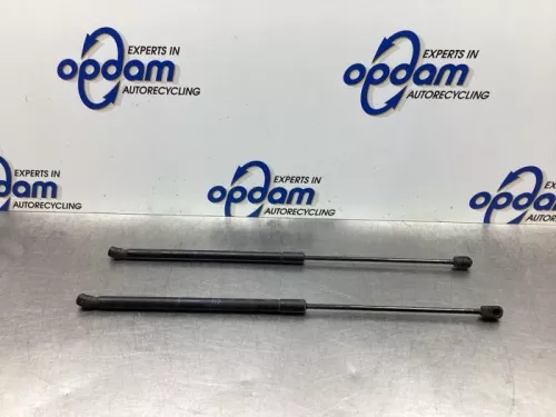 Set Gasdempers Achterklep-7854453