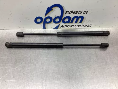 Set Gasdempers Achterklep-8061581