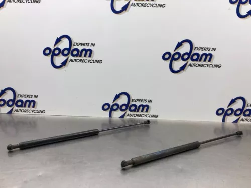 Set Gasdempers Achterklep-8235598