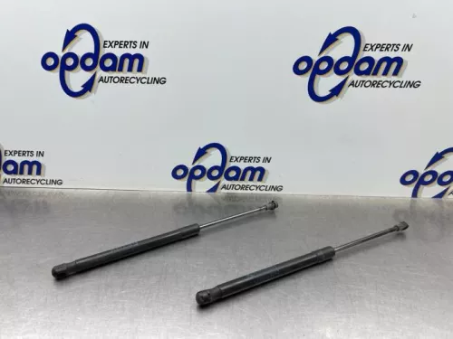 Set Gasdempers Achterklep-8221220