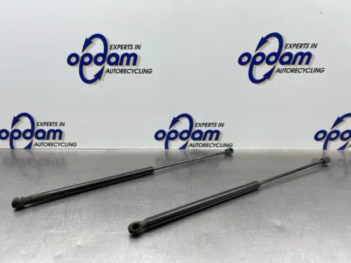 Set Gasdempers Achterklep-8302001