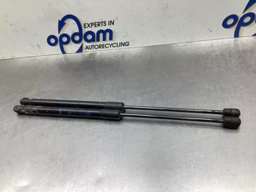 Set Gasdempers Achterklep-8035154