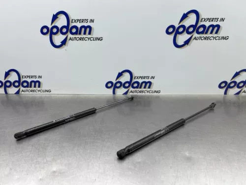 Set Gasdempers Achterklep-8167482