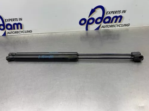 Set Gasdempers Achterklep-8250229