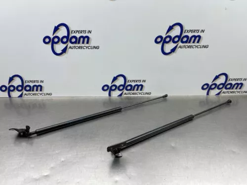 Set Gasdempers Achterklep-8317056