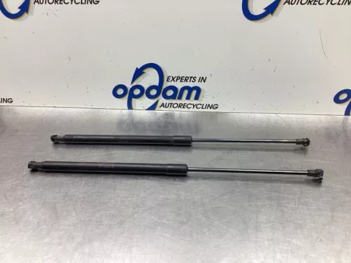 Set Gasdempers Achterklep-8078724