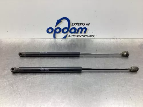 Set Gasdempers Achterklep-7842281