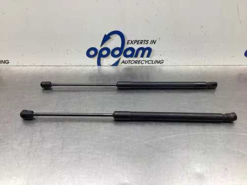 Set Gasdempers Achterklep-8070949