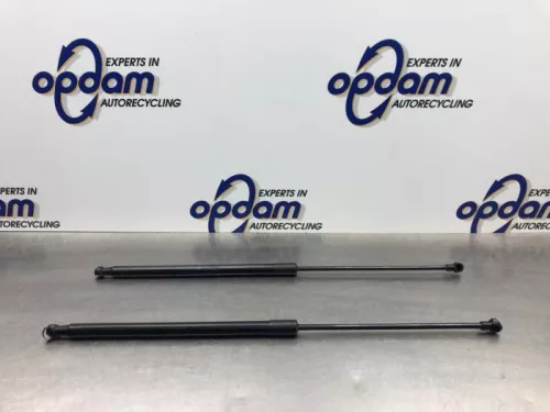 Set Gasdempers Achterklep-8108186