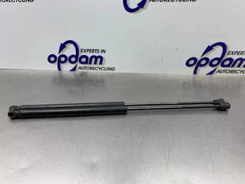 Set Gasdempers Achterklep-8217675