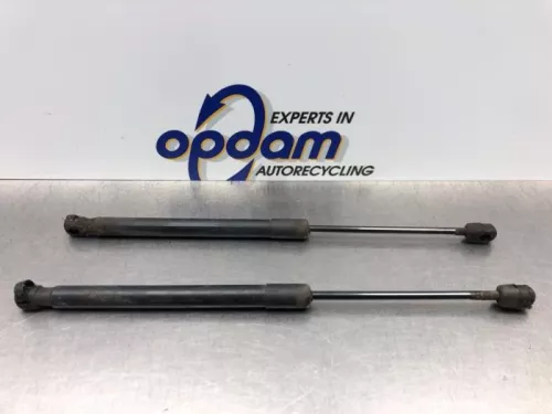 Set Gasdempers Achterklep-8232689