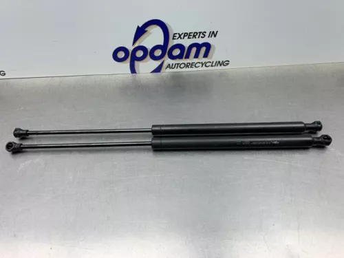 Set Gasdempers Achterklep-8267260