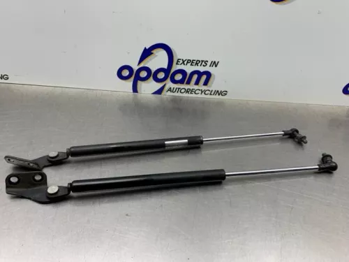 Set Gasdempers Achterklep-8264895