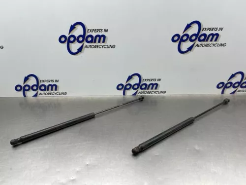 Set Gasdempers Achterklep-8188069