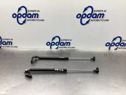 Set Gasdempers Achterklep-8035544