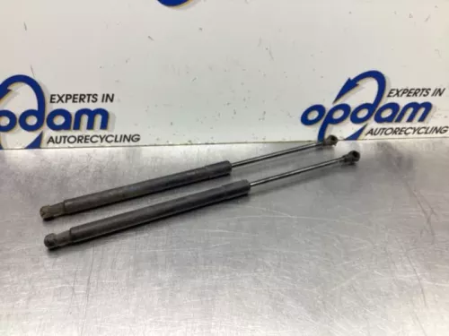 Set Gasdempers Achterklep-8077182