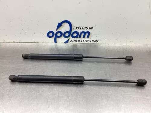 Set Gasdempers Achterklep-8073696