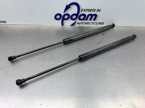 Set Gasdempers Achterklep-8287016