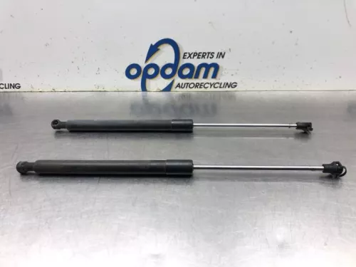 Set Gasdempers Achterklep-8137236