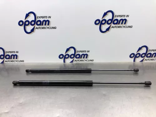 Set Gasdempers Achterklep-8181635