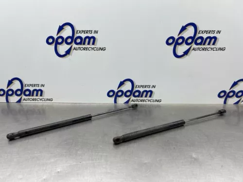 Set Gasdempers Achterklep-8313867