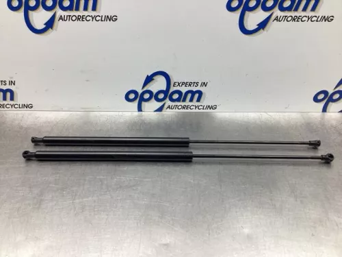 Set Gasdempers Achterklep-7911718
