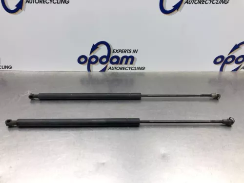 Set Gasdempers Achterklep-8168213