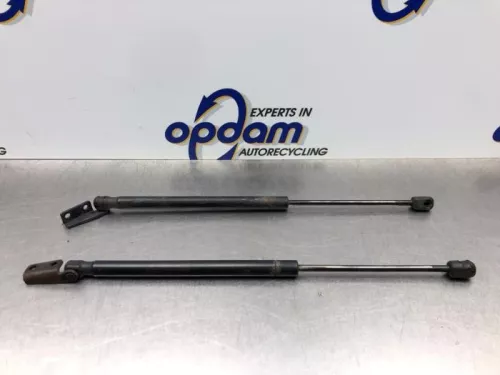 Set Gasdempers Achterklep-8181036