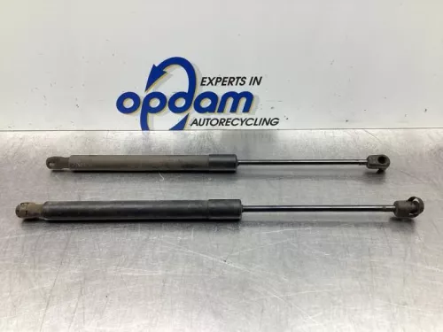 Set Gasdempers Achterklep-7934034